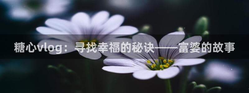 糖心vlog成:糖心vlog:寻找幸福的秘诀——富婆的故事
