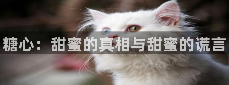 糖心vlog提取码:糖心:甜蜜的真相与甜蜜的谎言