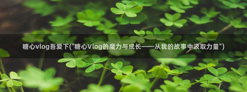 糖心vlog麻豆：糖心vlog吾爱下(\