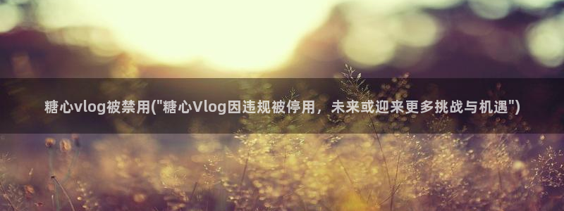糖心vlog.兑换码：糖心vlog被禁用(\