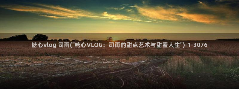 糖心vlog评价：糖心vlog 司雨(\