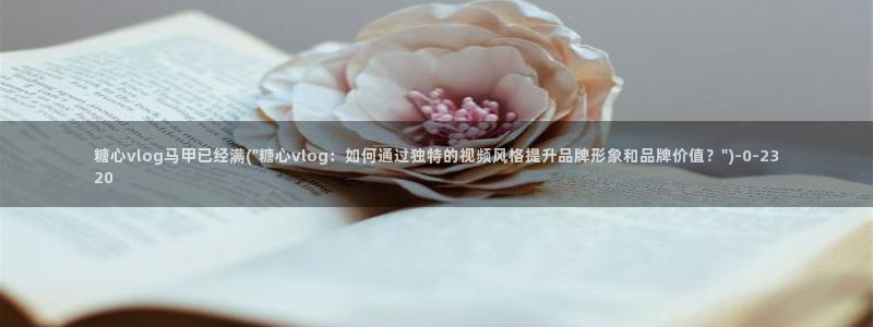 糖心vlog女优：糖心vlog马甲已经满(\