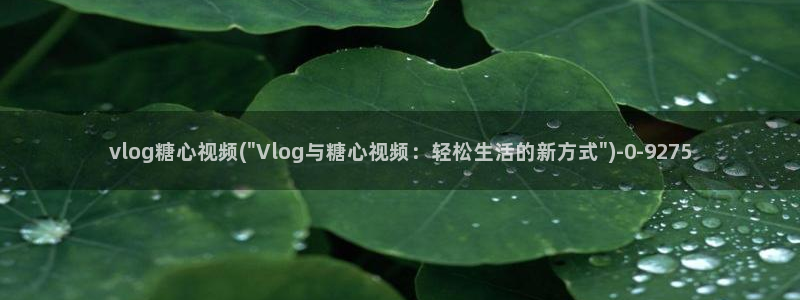 糖心vlog小二：vlog糖心视频(\