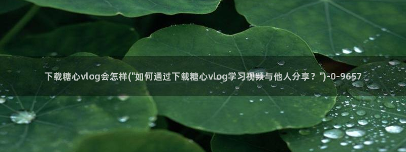 糖心vlog代码：下载糖心vlog会怎样