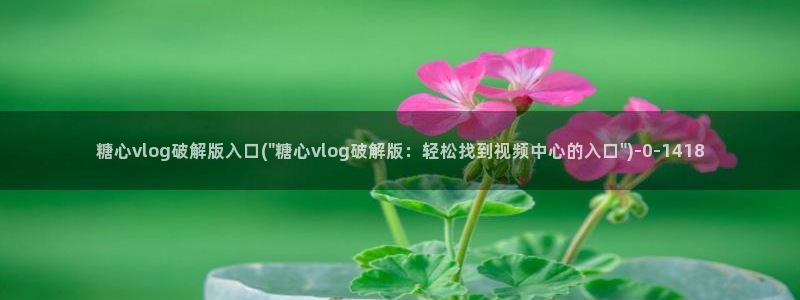 糖心vlog官网快猴网