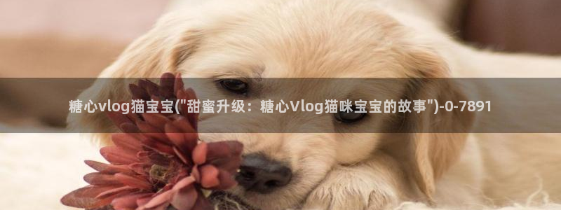 糖心出品vlog 网红