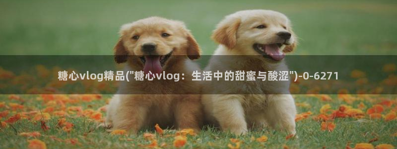 糖心vlog喵