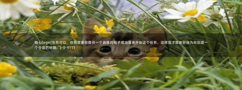 心糖心vlog