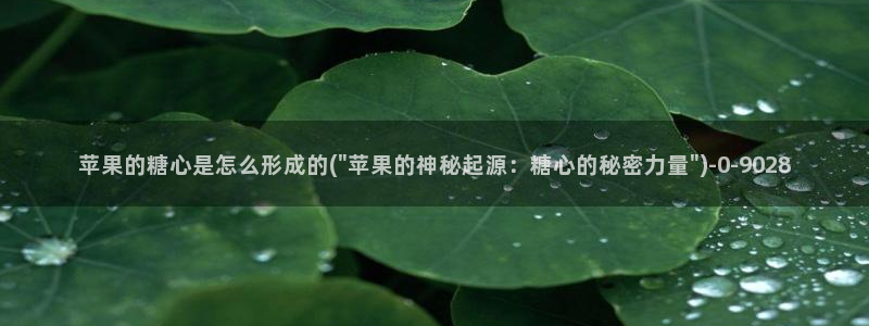 最新糖心vlog下载安装