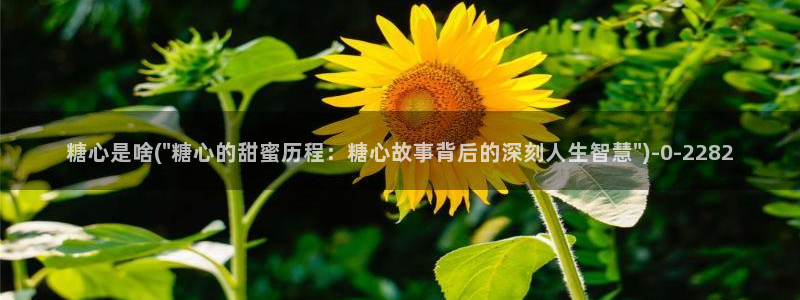 糖心动漫vlog官网观看