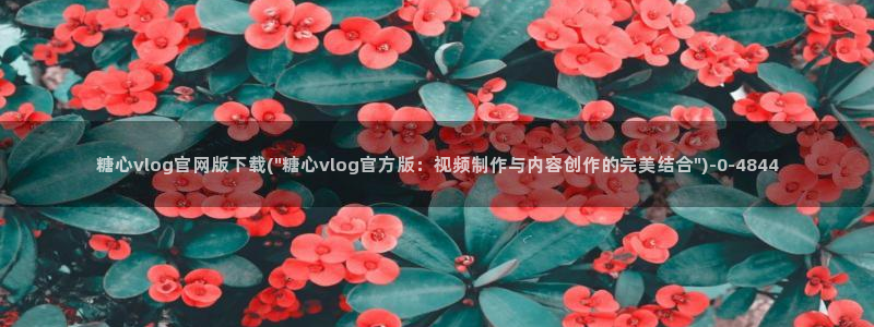 糖心vlog最新网站
